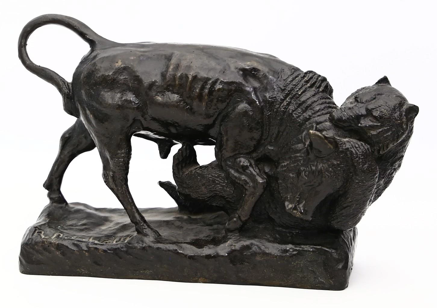 Bisonte che combatte contro un orso